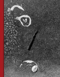 Pareidolia