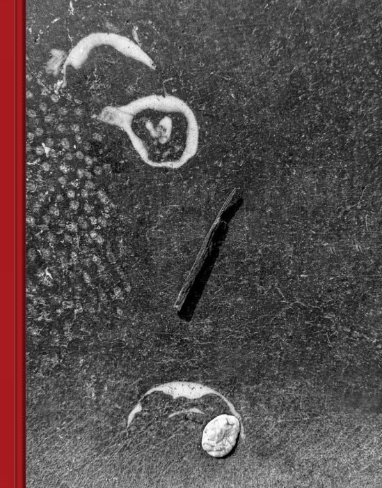 Pareidolia