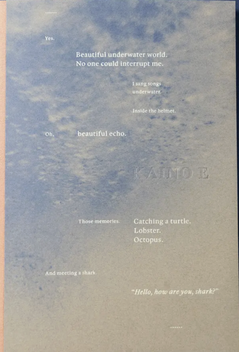 Kaino E