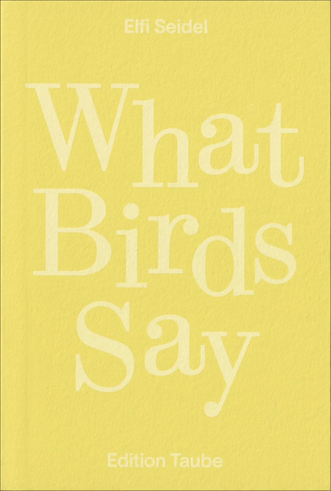 What Birds Say