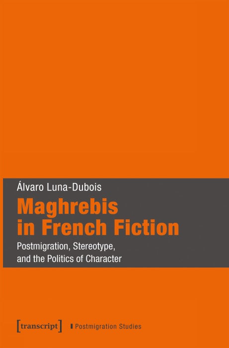 Maghrebis in French Fiction