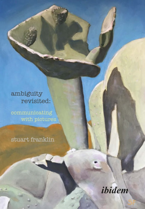 Ambiguity Revisited