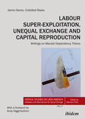 Labour Super-Exploitation, Unequal Exchange, and Capital Reproduction
