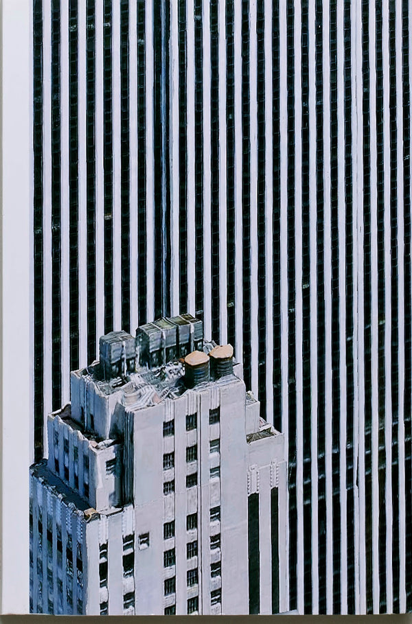 The Rendering Eye: Urban America Revisited