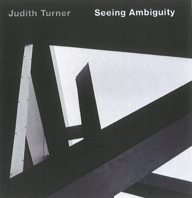 Seeing Ambiguity