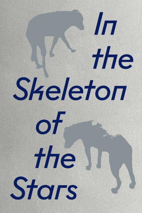 In the Skeleton of the Stars