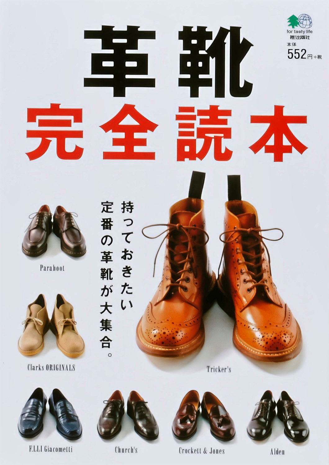 All About Leather Shoes