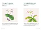 Flowers of the Philippines