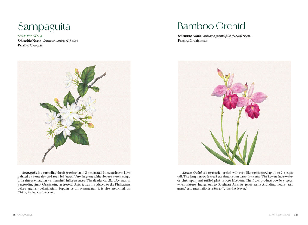 Flowers of the Philippines