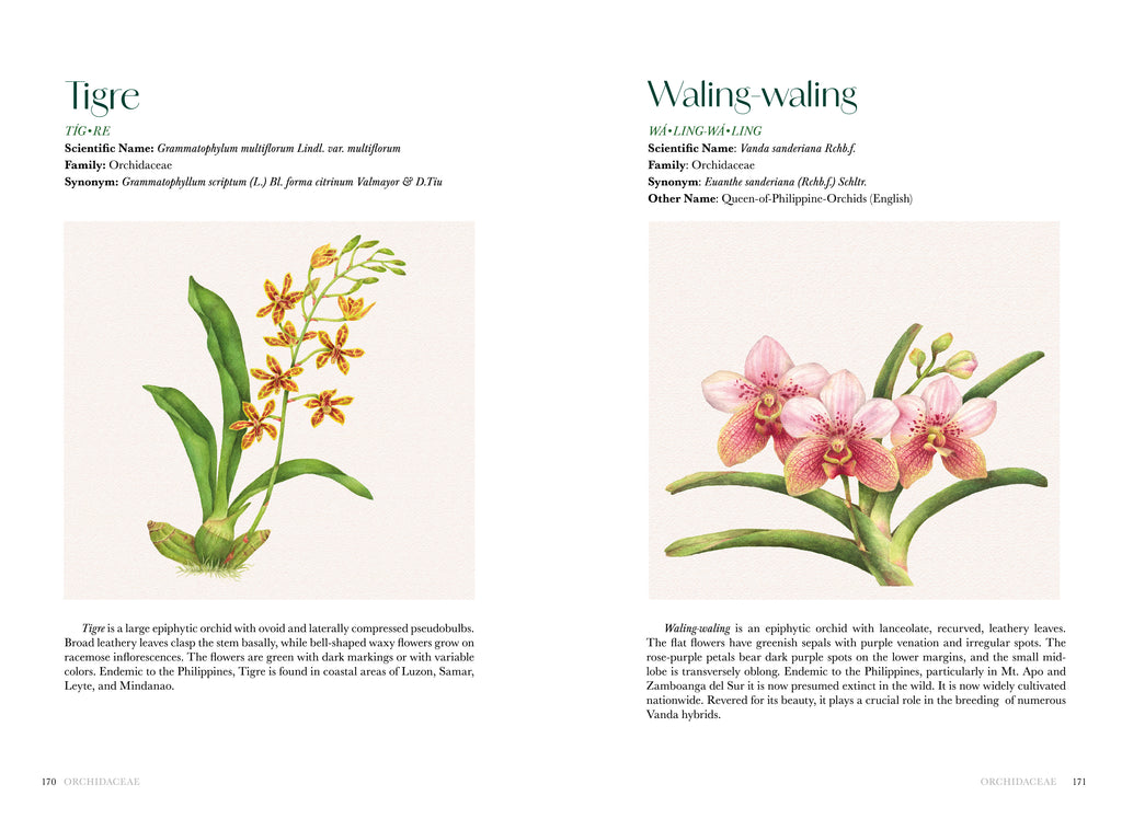 Flowers of the Philippines