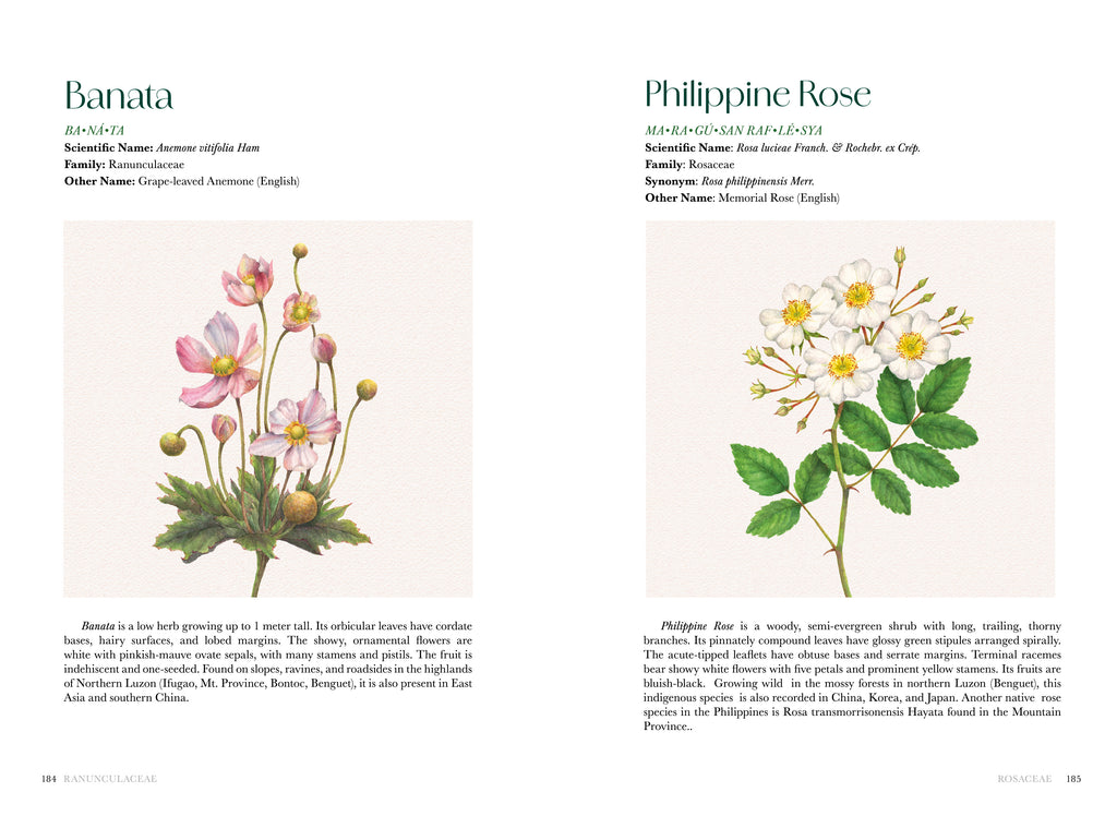 Flowers of the Philippines