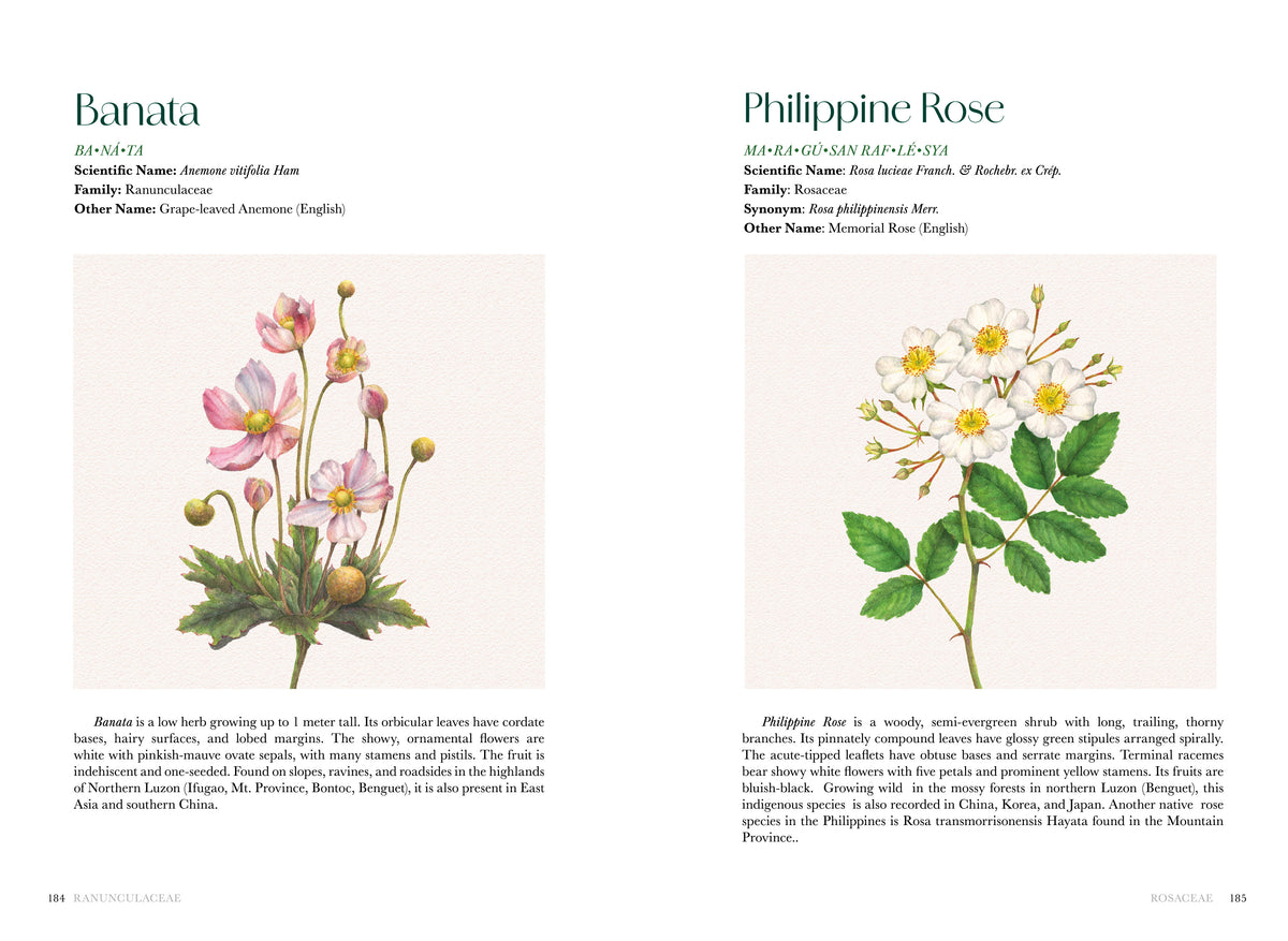 Flowers of the Philippines