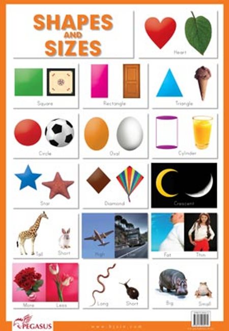 Shapes & Sizes