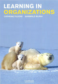 Learning in Organizations