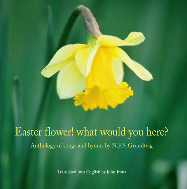 Easter Flower! What Would You Here?