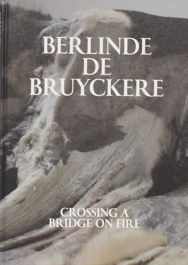 Berlinde De Bruyckere: Crossing a Bridge on Fire