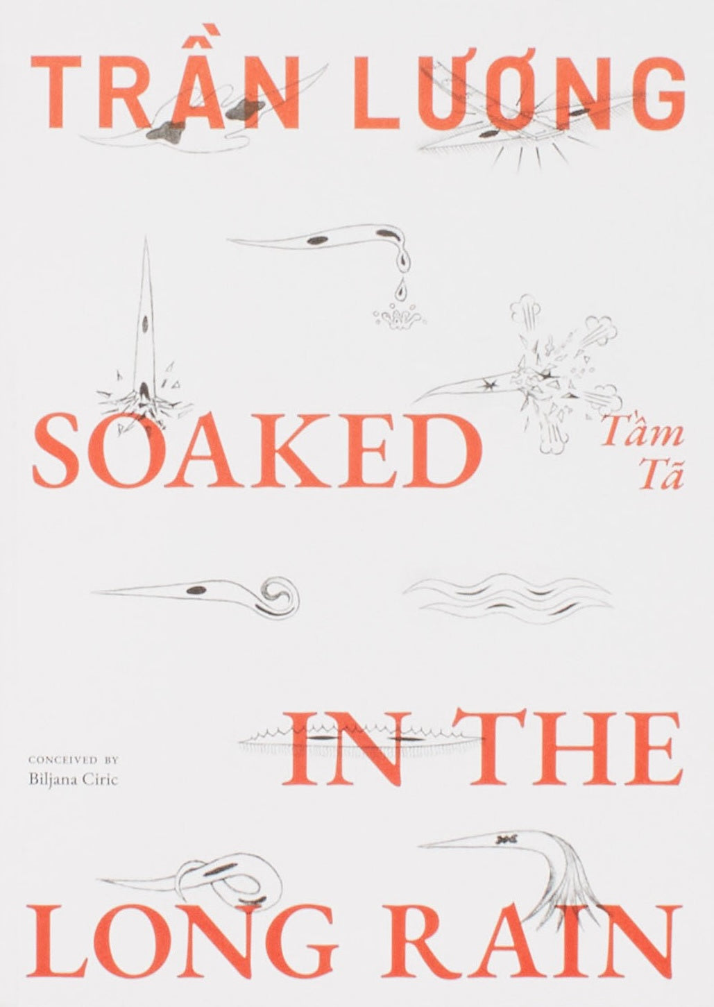Trần Lương: Soaked in the Long Rain