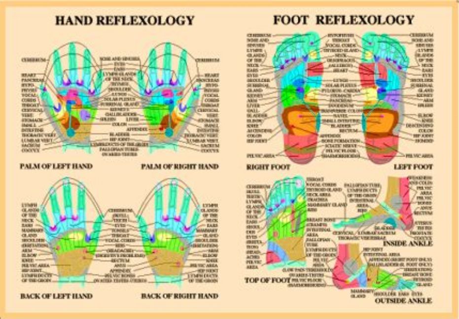 Hand & Foot Reflexology -- A2