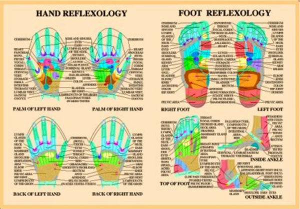 Hand & Foot Reflexology -- A2