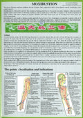 Moxibustion -- Laminated Folded A4
