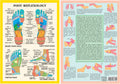 Foot Reflexology -- A4
