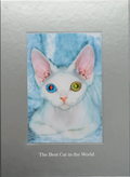 The Best Cat in the World