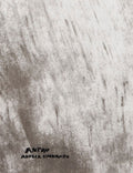 Antro