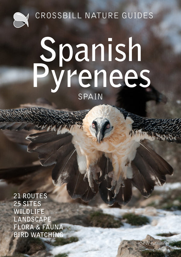 Spanish Pyrenees