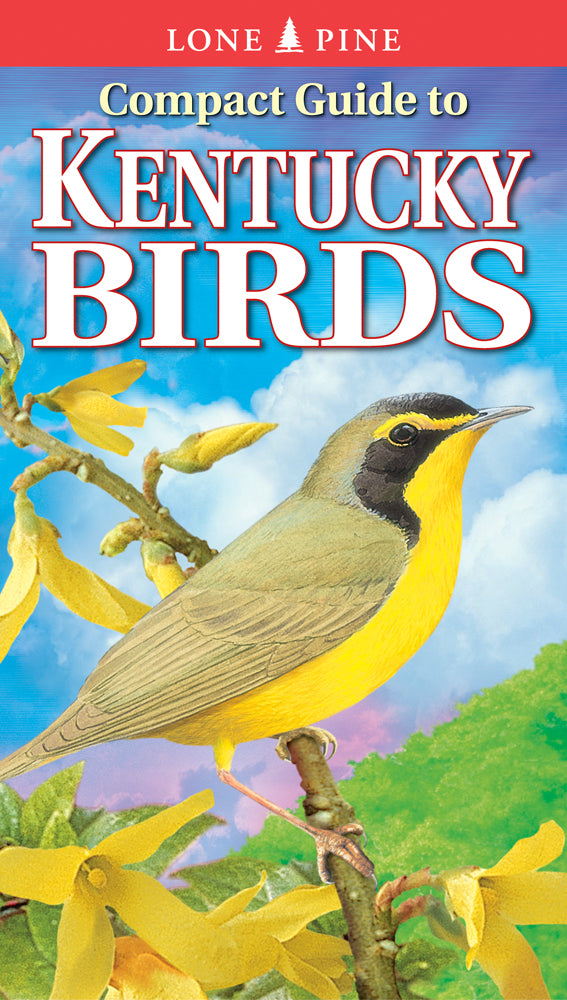 Compact Guide to Kentucky Birds
