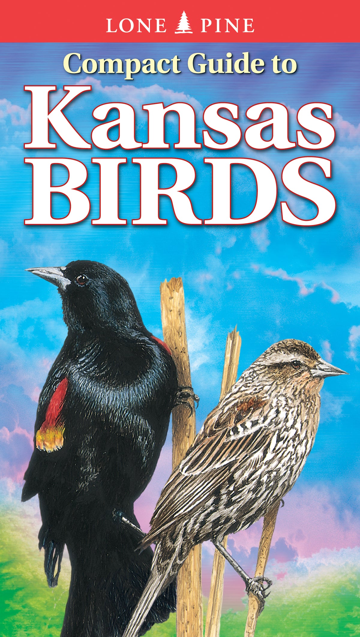 Compact Guide to Kansas Birds