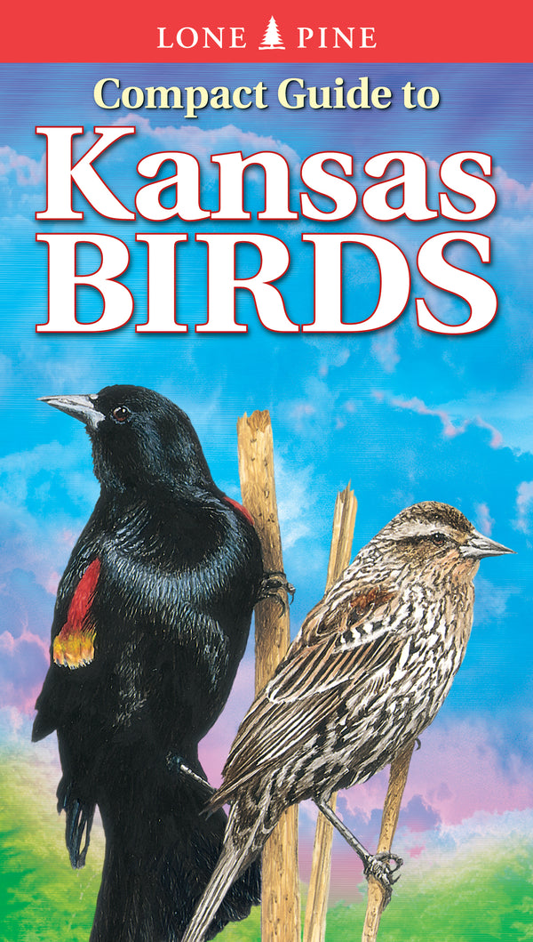 Compact Guide to Kansas Birds