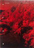 Red Bloom