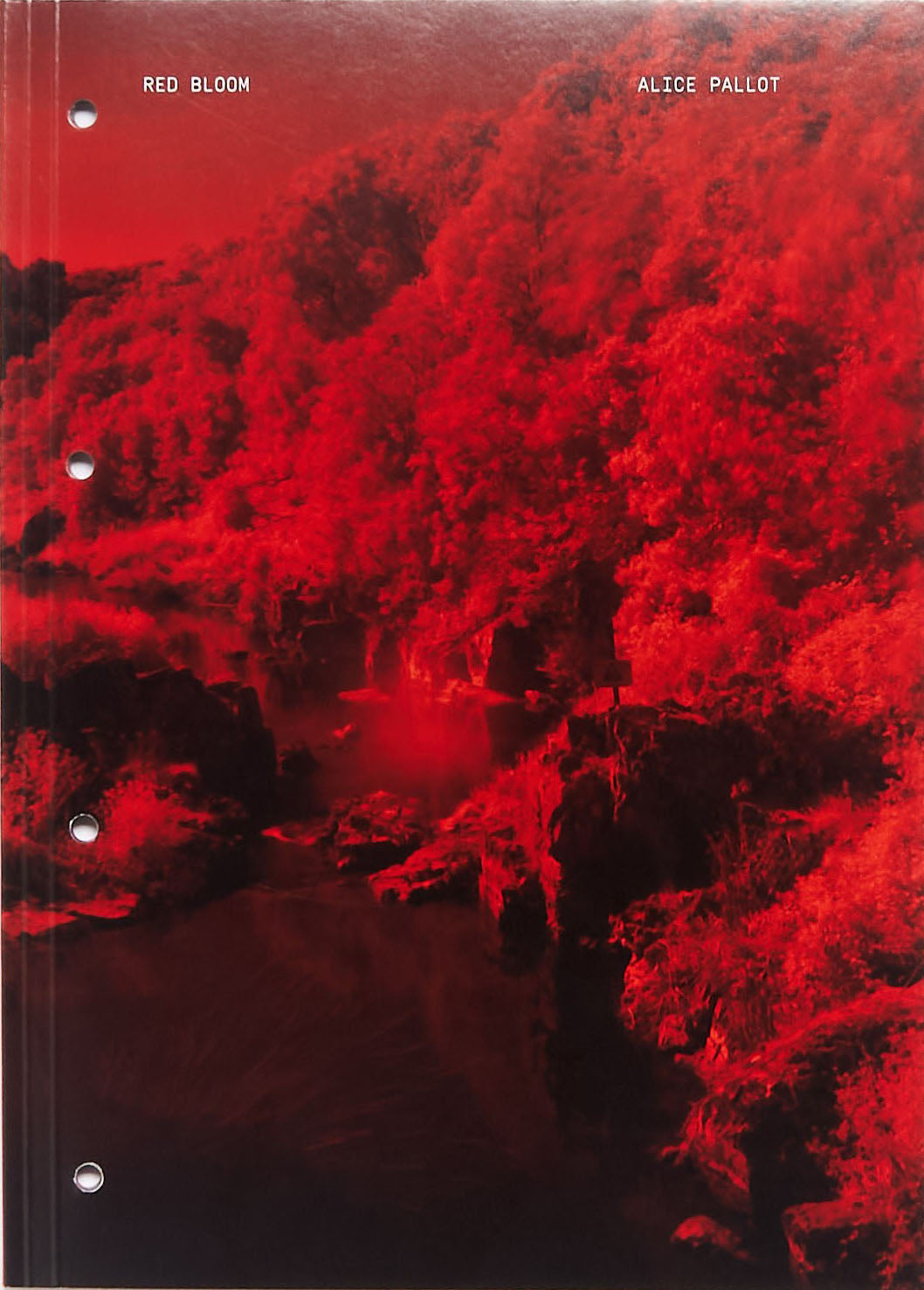 Red Bloom