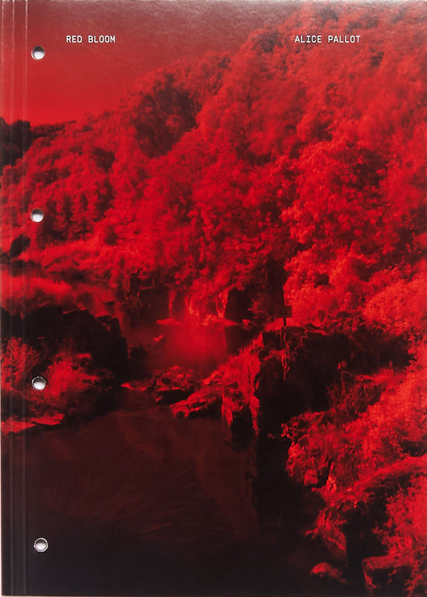 Red Bloom