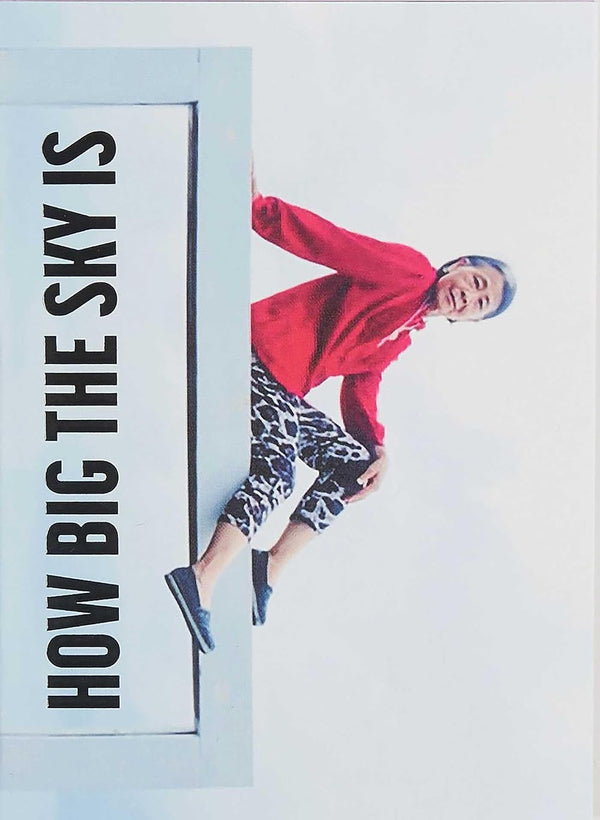 I’m showing you how big the sky is – The story of Chiou Taur Wu told by Martina Bacigalupo