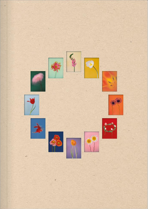 The Chromatics of Flowers