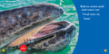 Gray Whales