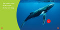 Humpback Whales