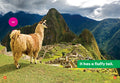 Llamas