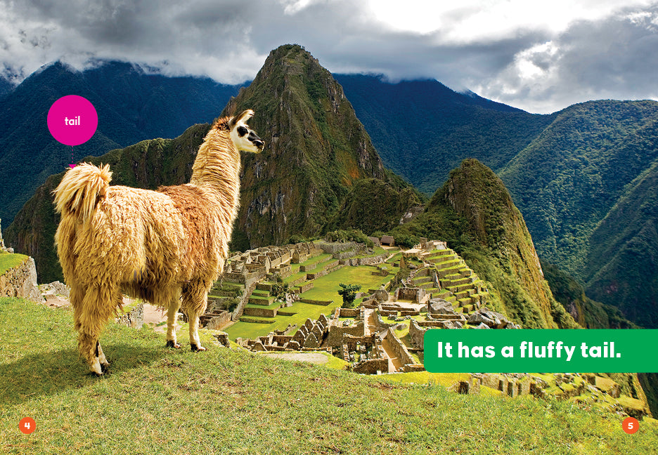 Llamas