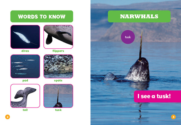 Narwhals
