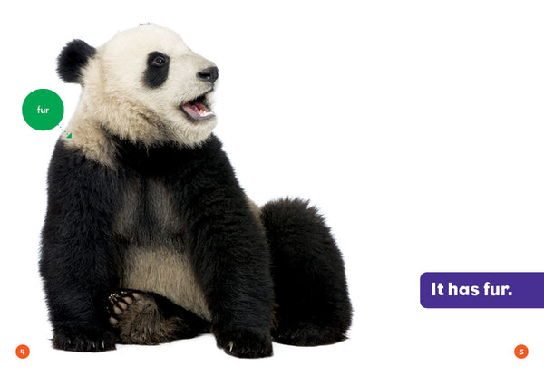 Pandas