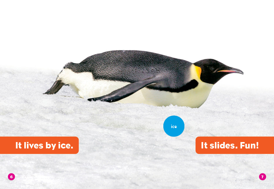 Penguins