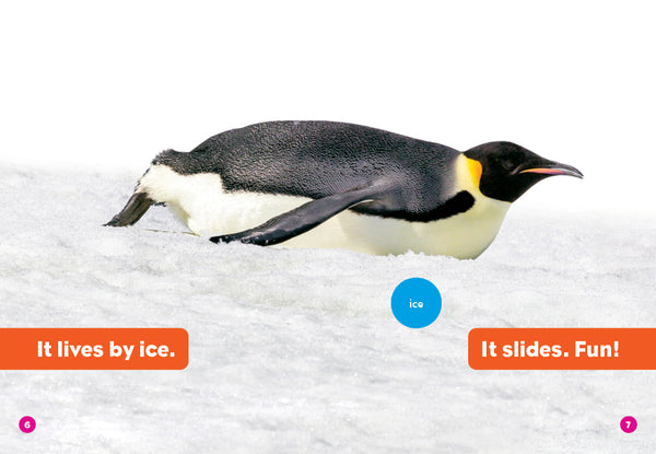 Penguins