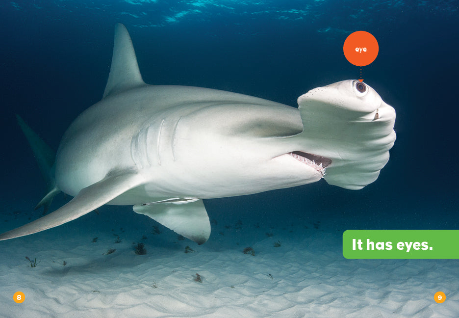 Sharks
