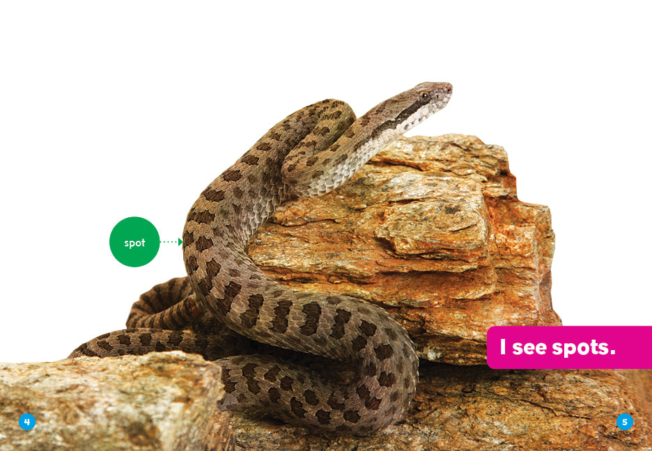 Snakes
