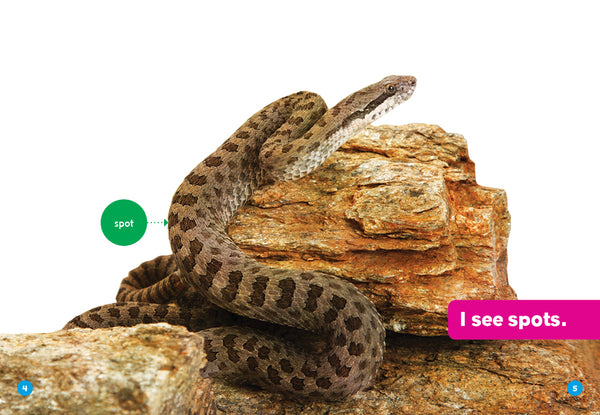 Snakes
