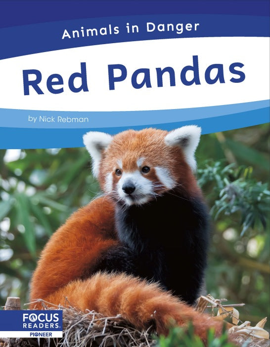 Red Pandas