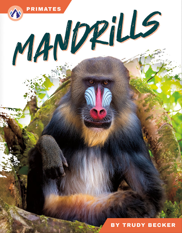 Mandrills