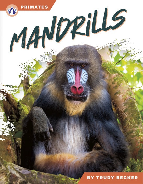 Mandrills